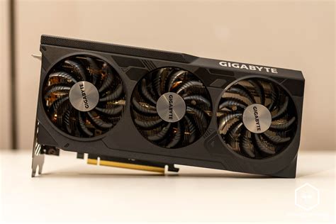 gigabicho